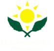 Clean Energy